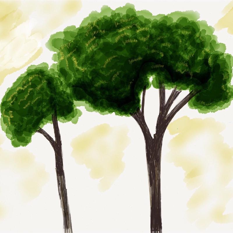 Drawing of two trees.