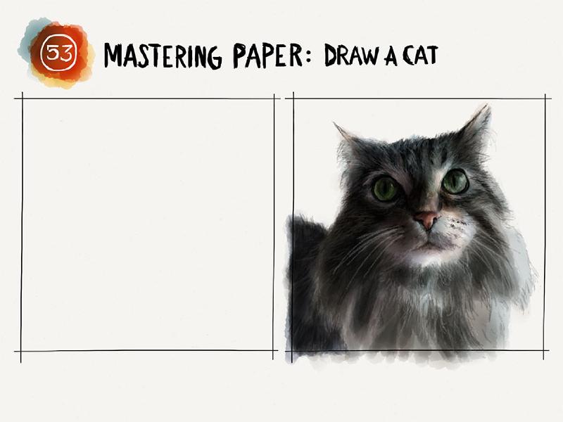 Draw a cat tutorial on Mix