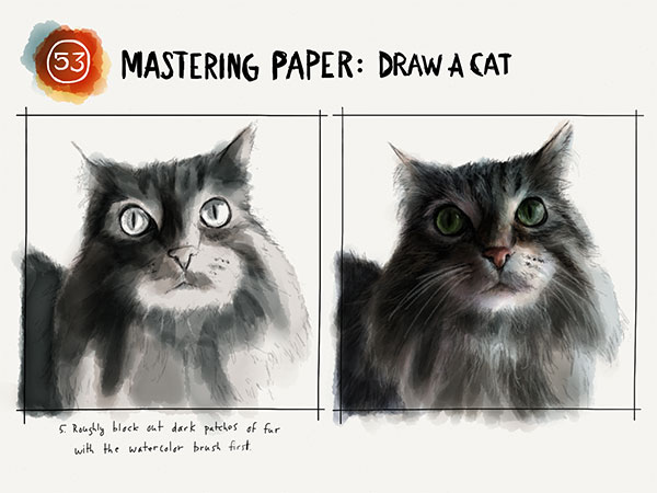 Draw a cat tutorial on Mix