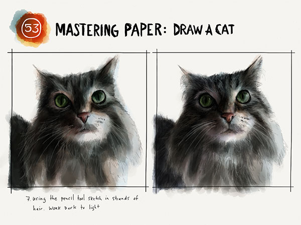 Draw a cat tutorial on Mix