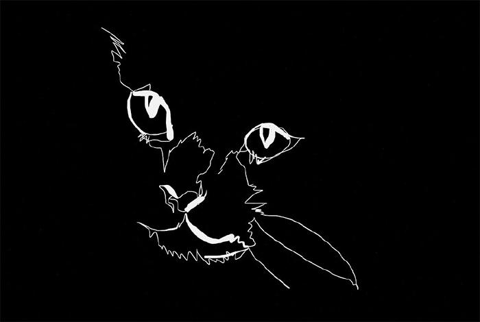 Scratch board blind contour of a cats face, white ink on a black background