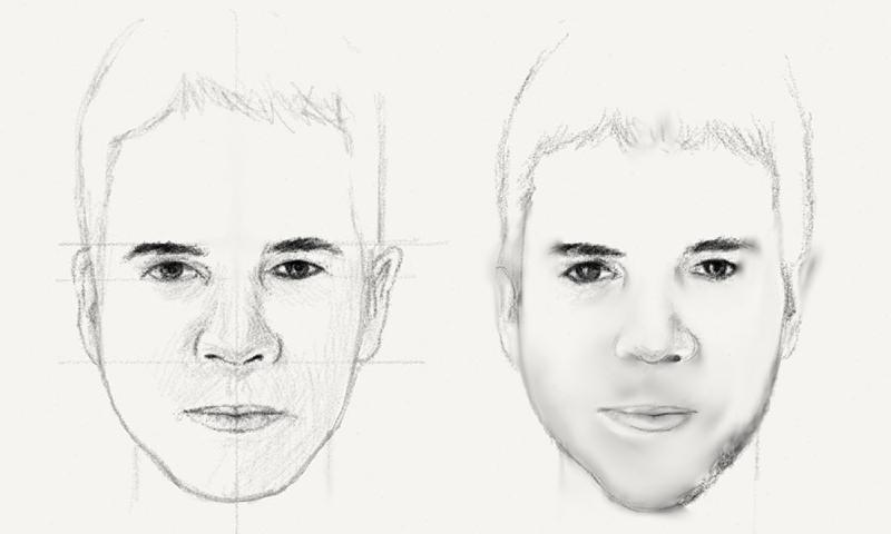 Sketch of a face with guidelines blended to make them less noticeable.