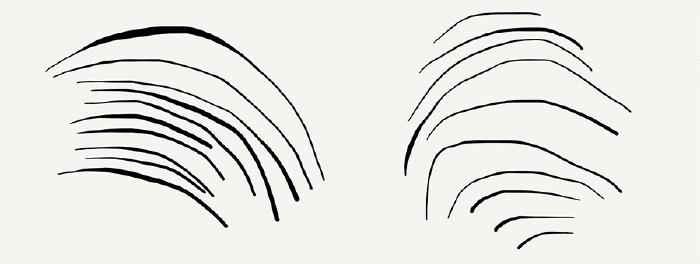 Curved fountain pen strokes showing examples of contour hatching and varying line weight
