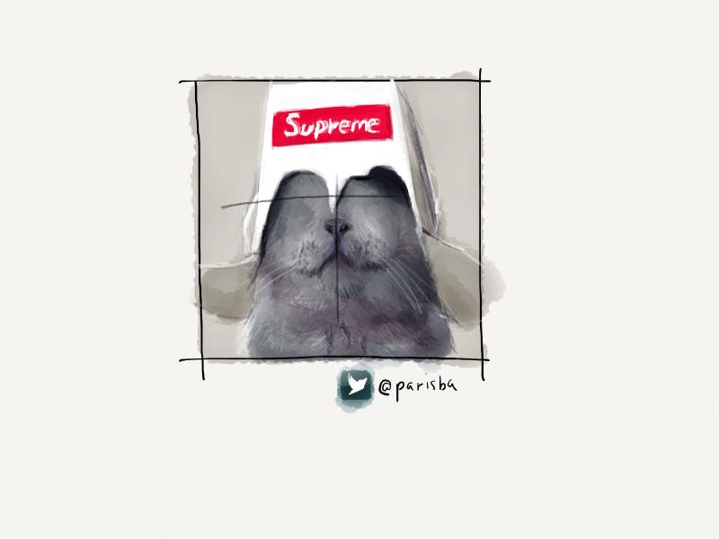 Digital watercolor and pencil portrait of a faceless gray cat wearing a white take-out box cut into a helmet on his head with the words Supreme on the front.