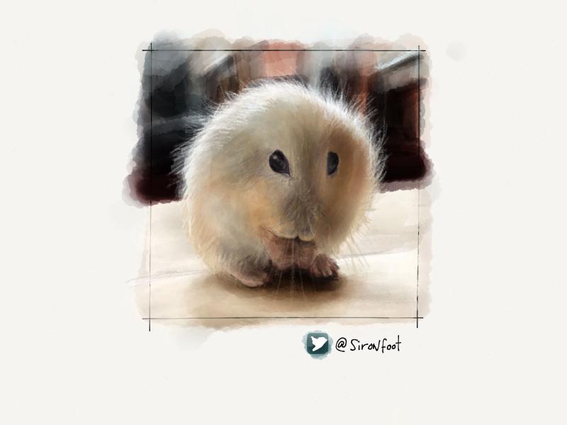 Digital watercolor and pencil portrait of a small furry hamster eating something.
