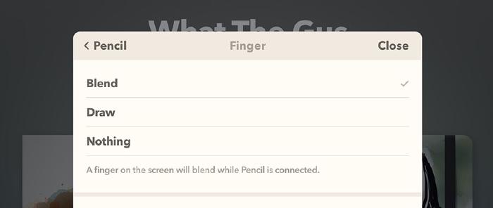 Screenshot of Pencils Finger settings in Paper app for iPadOS.