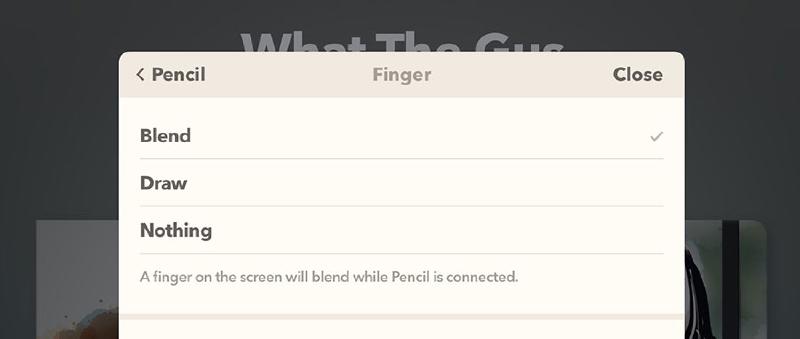 Screenshot of Pencil’s Finger settings in Paper app for iPadOS.