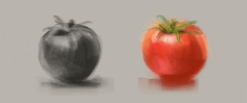 Pencil drawings of tomatoes shaded in grays and color on a warm gray background.