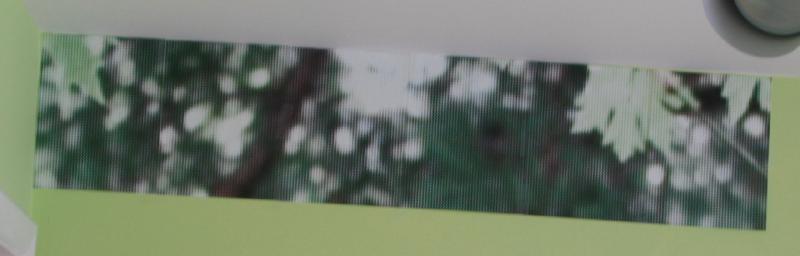 Row of six rasterbated color images taped to a bright green wall