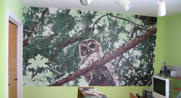 Rasterbated poster of an owl halfway finished and taped to a bright green wall