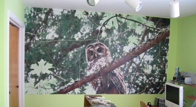 Rasterbated poster of an owl halfway finished and taped to a bright green wall